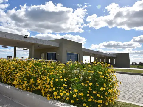 Terreno en Venta 20  mts Frente