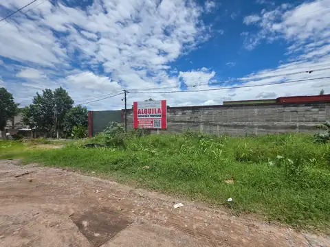 RUTA 305 100