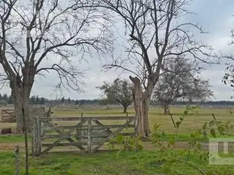 Terreno en Venta en Jauregui Jose Maria, USD 12