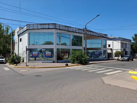 Felix San Martin 1400