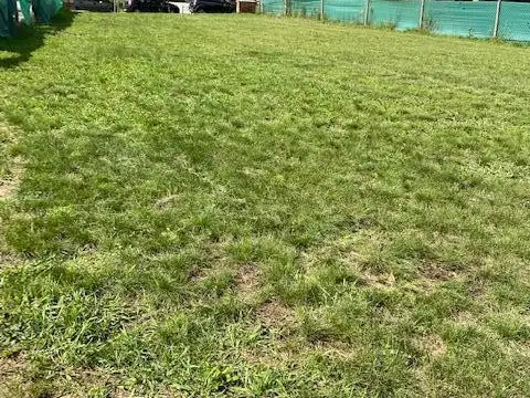 Terreno en Venta en Pilar Del Este, USD 73.000