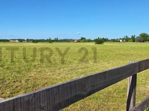 CAMPO EN VENTA - ZARATE - 180 Hectareas