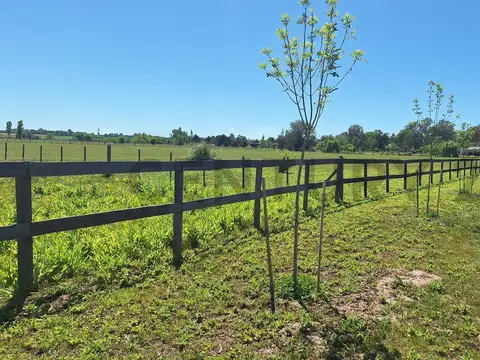 Ruta Nacional Nro. 9 a la altura del Km. 107 , Piso 0