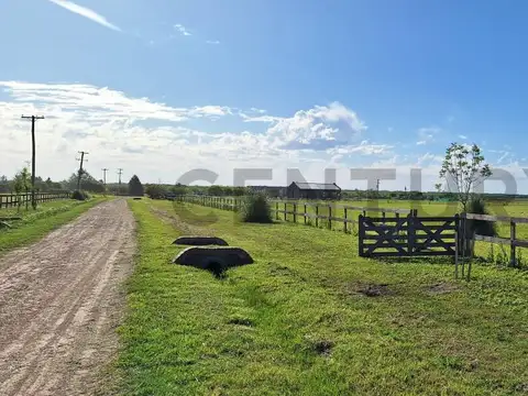 CAMPO EN VENTA - ZARATE - 180 Hectareas
