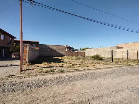 Avenida del trabajador  al 2000