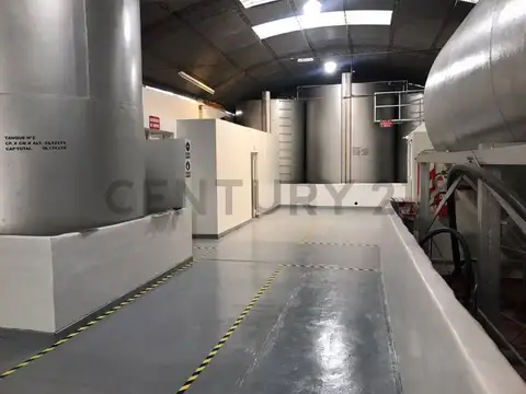 Pueyrredón , Piso 0