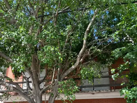 3 departamentos en block ( 2 de 2 amb y uno de 3)