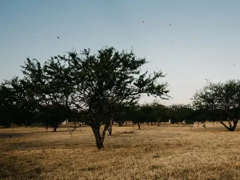 LOTE 560 M2 - LAS CAÑITAS