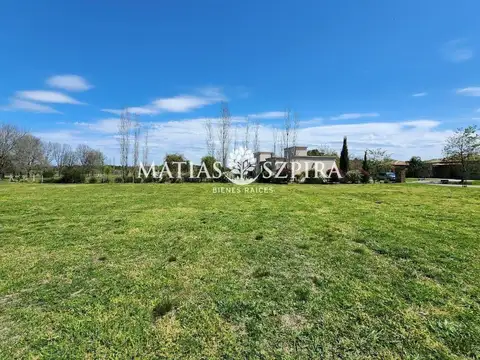 RUTA 6