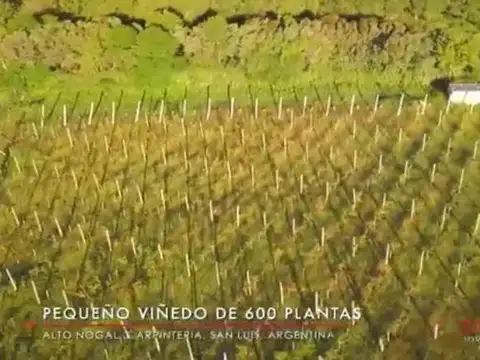 Terreno en San Luis - Merlo - Financiacion o Permuta