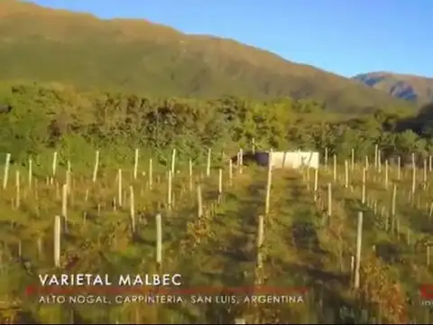 Terreno en San Luis - Merlo - Financiacion o Permuta