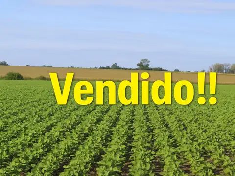 Gualeguaychu,Entre Ríos a 240 km CABA