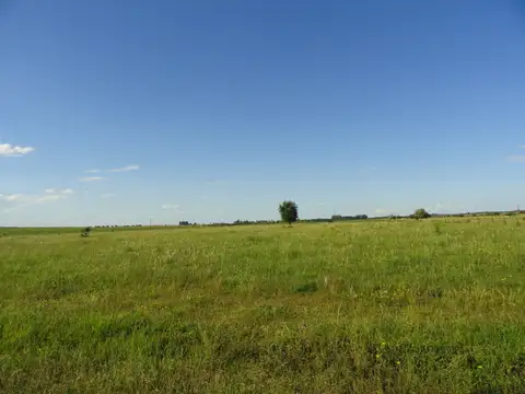 Campo agrícola en Gualeguaychú