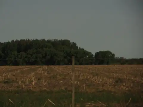 Gualeguaychu,Entre Ríos a 240 km CABA