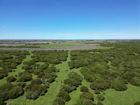 Cod. 135 – Campo En GRAL. MADARIGADA 40h