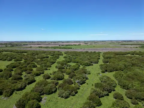 Terreno en Venta de 400000,0 m2