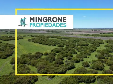 Cod. 135 – Campo En GRAL. MADARIGADA 40h