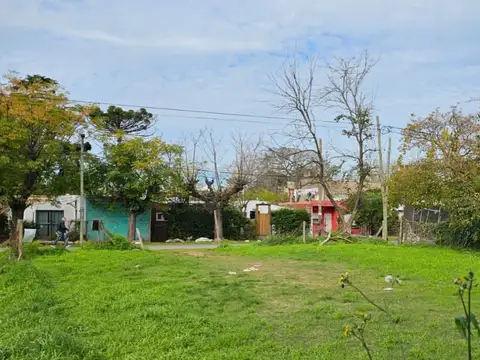 salvador maria del carril Y COPERNICO