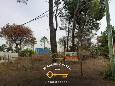 Lote en el pinar, frente al arroyo.