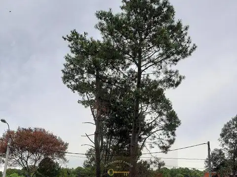 Terreno en Venta en El Pinar, USD 170.000