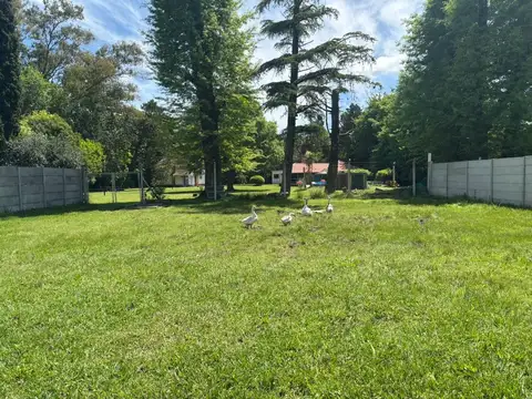 Terreno en Venta de 300,0 m2