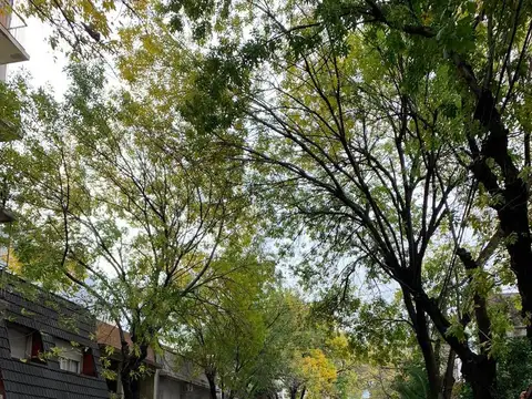 Terreno en Venta 8  mts Frente