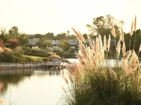 Terreno en Venta en San Matias, USD 260.000