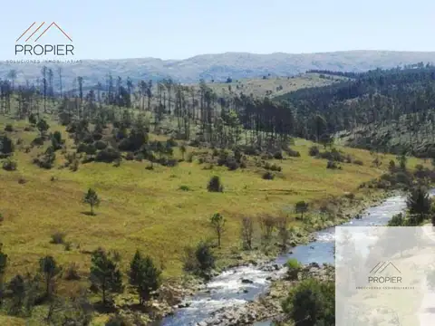 Terreno en Venta de 100000,0 m2