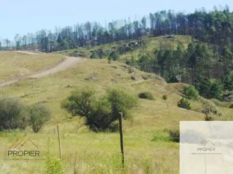 Terreno / Lote en venta de 100000m2 ubicado en Villa Berna