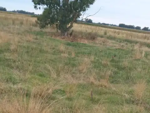 Campo en venta en Bolivar