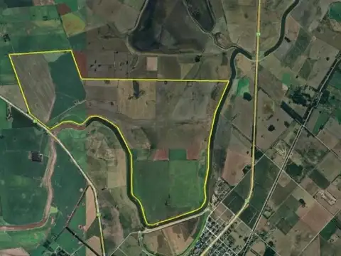 Ruta Provincial 41