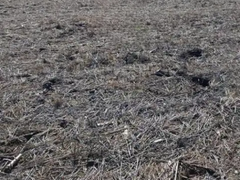 Campo en venta - 11.040.000Mts2 - San Miguel del Monte