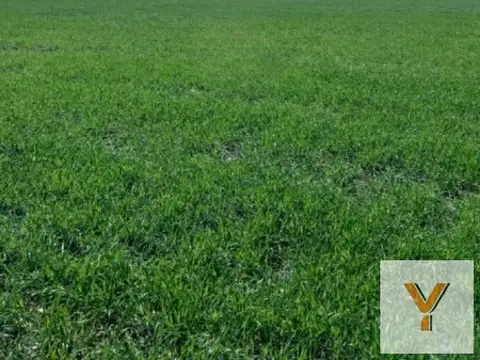 Campo en venta - 11.040.000Mts2 - San Miguel del Monte