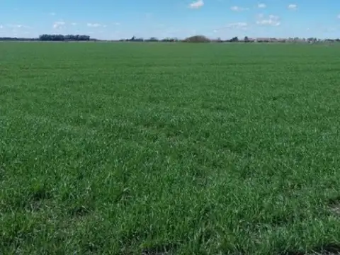 Campo en venta - 11.040.000Mts2 - San Miguel del Monte