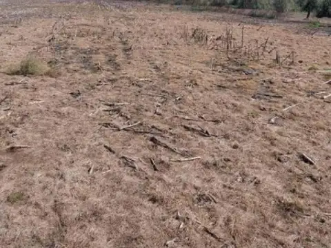 Campo en venta - 11.040.000Mts2 - San Miguel del Monte