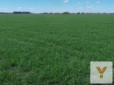 Campo en venta - 11.040.000Mts2 - San Miguel del Monte