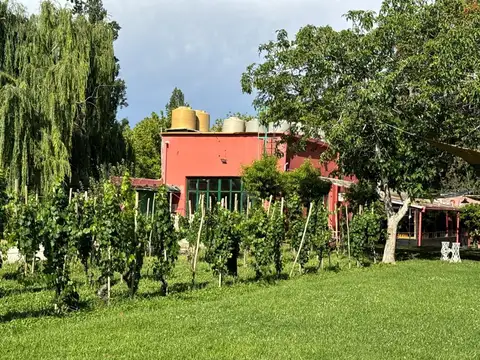 ALQUILER COMERCIAL CASONA CON BODEGA Y VIÑEDO MZA