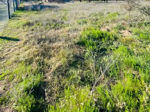 Terreno en Altos del Payun Lote 14