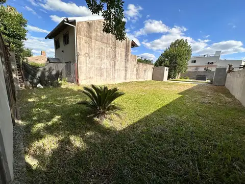 Calvo al 1800