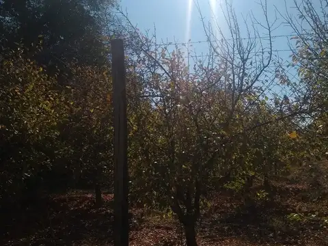 Terreno en Venta de 26000,0 m2