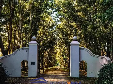 Terreno en Venta 40  mts Frente