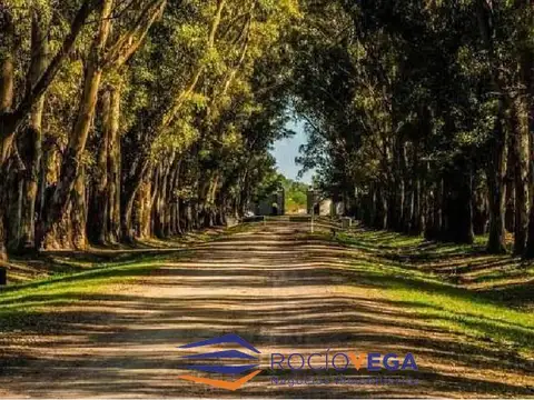 Terreno en Venta 62  mts Fondo