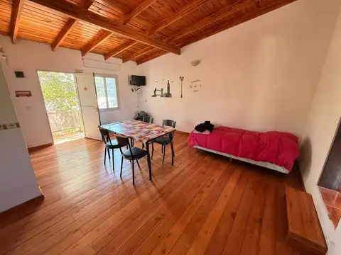 las orquidias 100