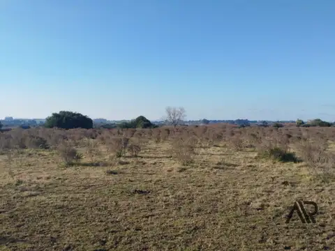 Camino De los Ceibos, Punta del Este Departamento de Maldonado,