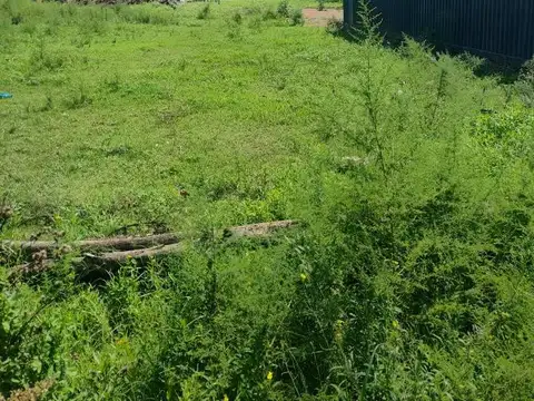 Terreno en venta en La Unión