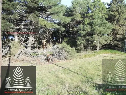 Excelente Lote en Las Camelias, Costa Del Este