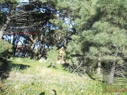 Excelente Lote en Las Camelias, Costa Del Este