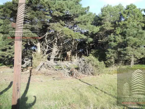 Terreno en Venta en Costa Del Este, USD 230.000