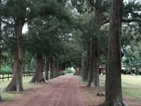 Terreno en Venta en El Malacate, USD 67.000