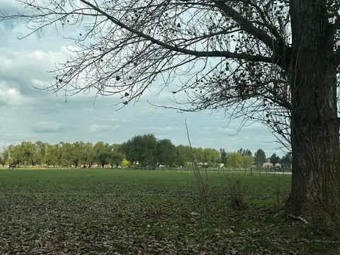 Terreno en Venta en El Malacate, USD 67.000